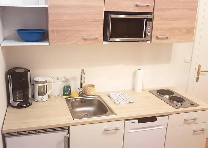 Sobieski District-1 Ring Appartement Vienne